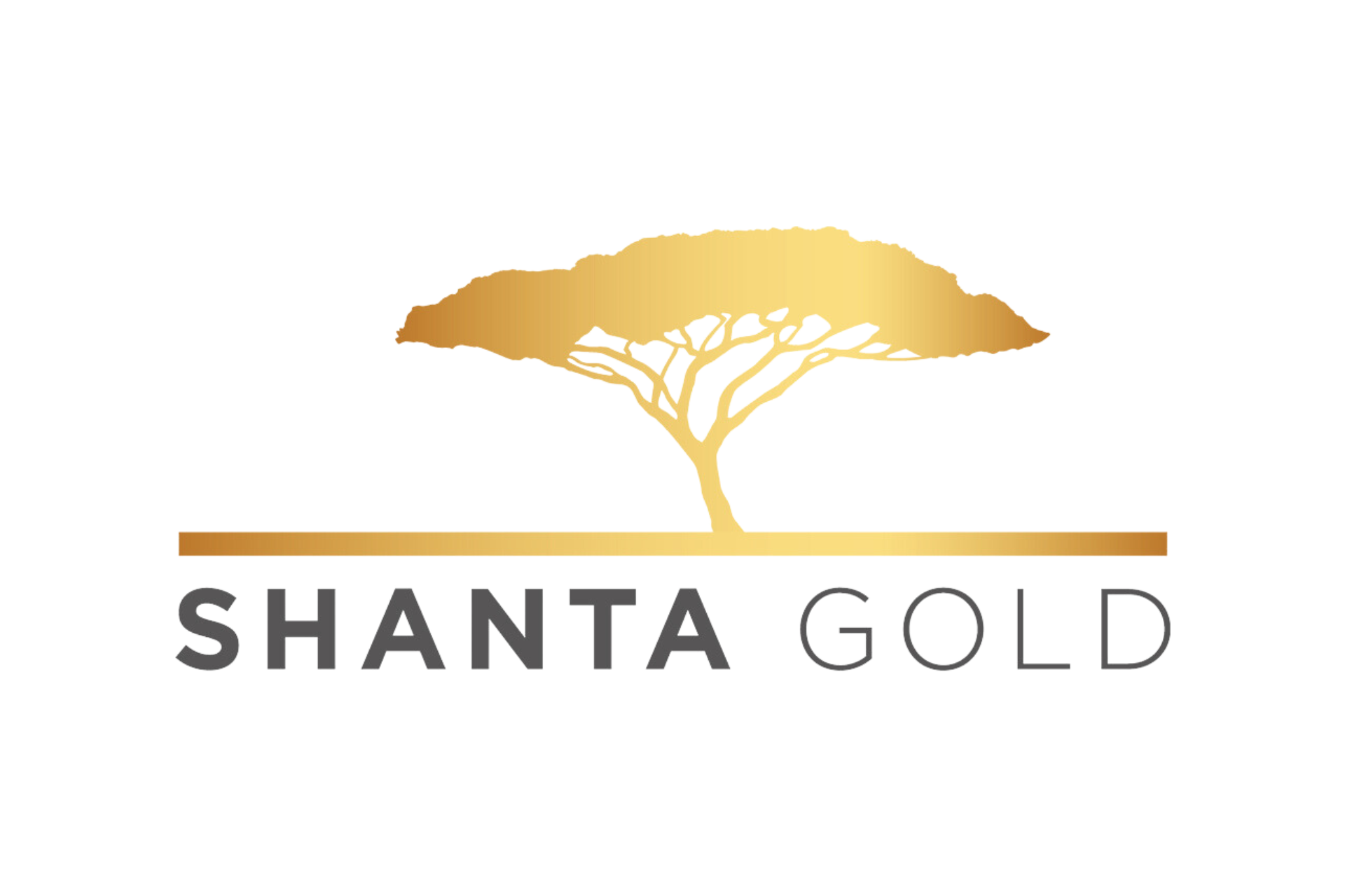 Shanta Gold